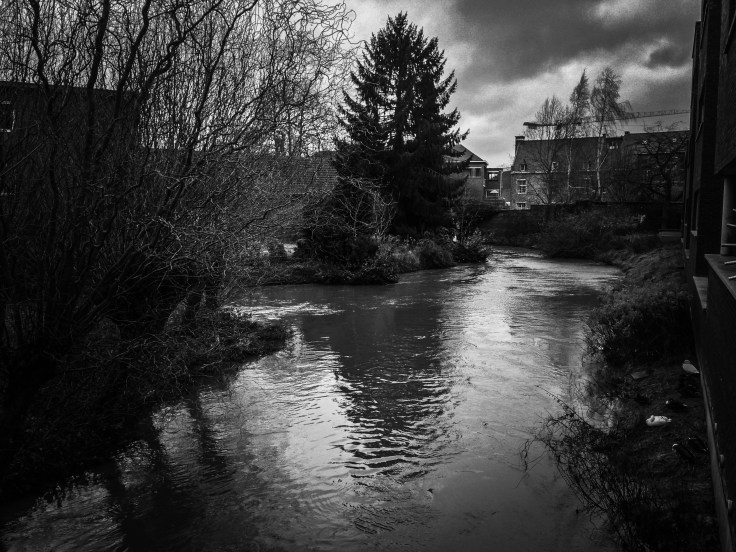 De Dijle te Leuven. Redingenstraat. Foto Hendrik Elie Vanden Abeele