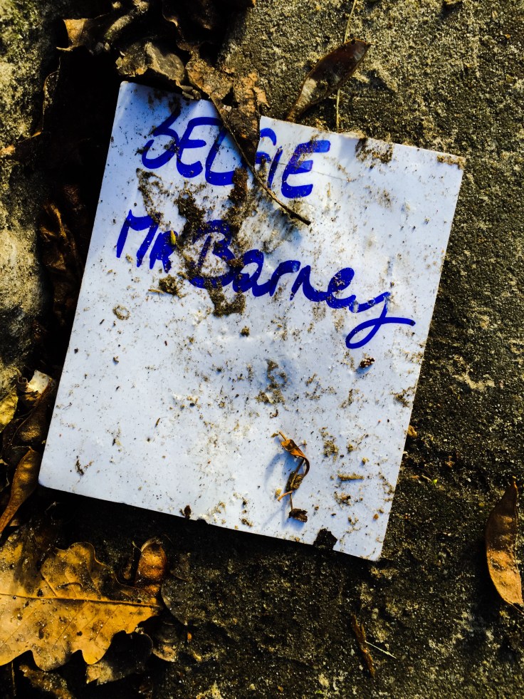 Mr. Barney. Te Voet in de Stad. Foto Hendrik Elie Vanden Abeele