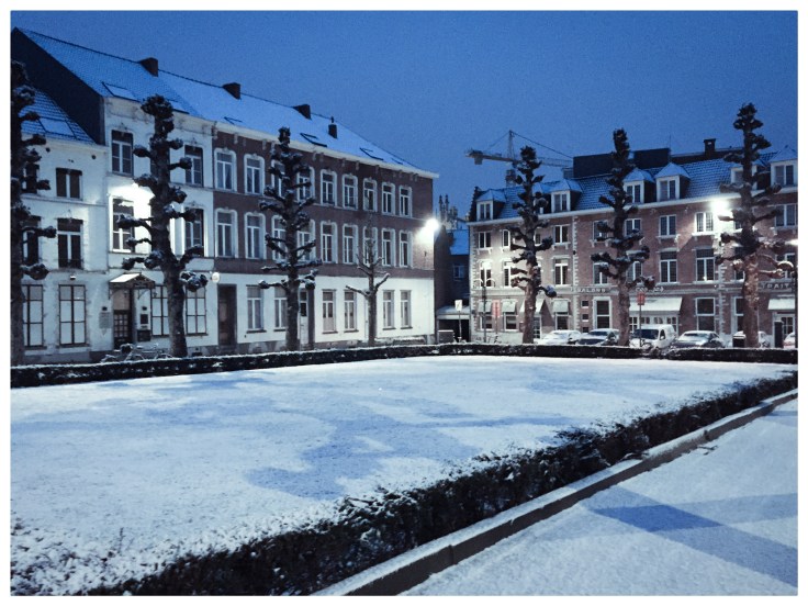 Salons Georges. Te Voet in de Stad. Foto Hendrik Elie Vanden Abeele