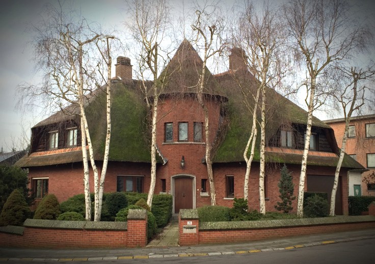 Rieten dak. Berken. Te Voet in de Stad. Foto Hendrik Elie Vanden Abeele