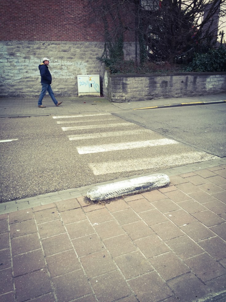 Zebrapad. Te Voet in de Stad. Foto Hendrik Elie Vanden Abeele