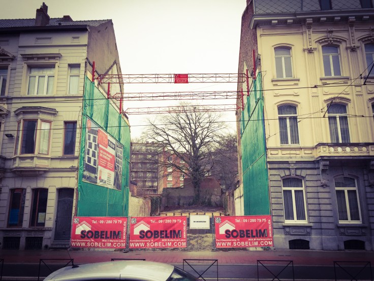 Boom. Te Voet in de Stad. Foto Hendrik Elie Vanden Abeele