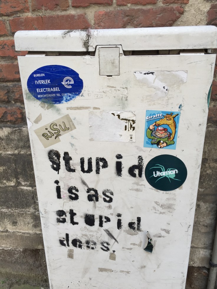 Stupid is as stupid does. Te Voet in de Stad. Foto Hendrik Elie Vanden Abeele