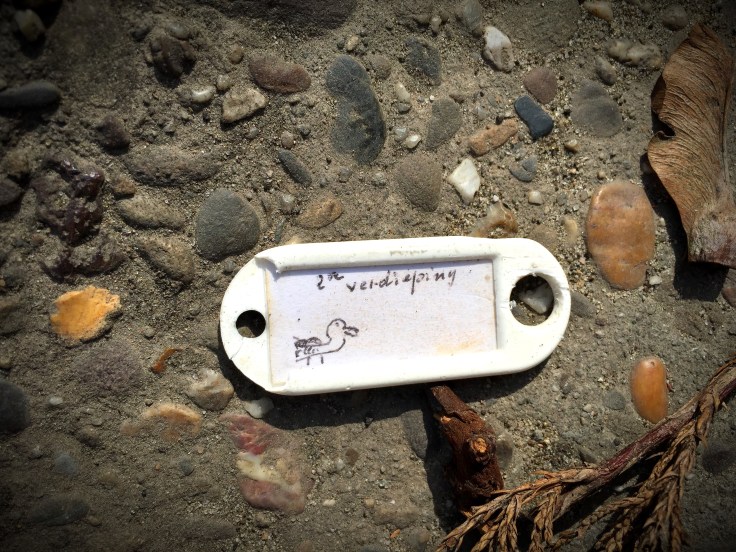 2015-04-19 10.55.03 verdieping