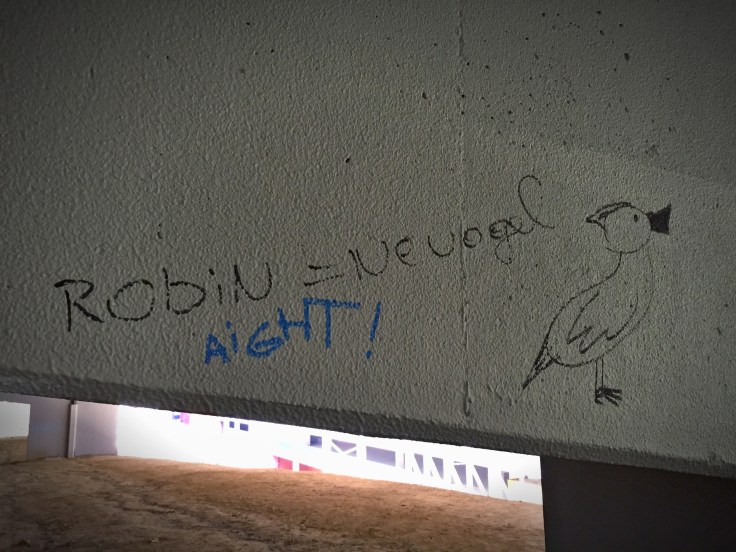 Robin. Te Voet in de Stad. Foto Hendrik Elie Vanden Abeele