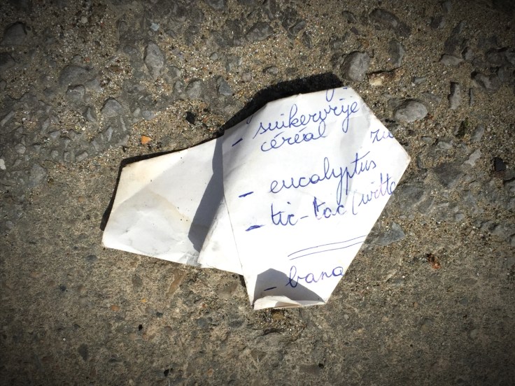 Suikervrij. Te Voet in de Stad. Foto Hendrik Elie Vanden Abeele