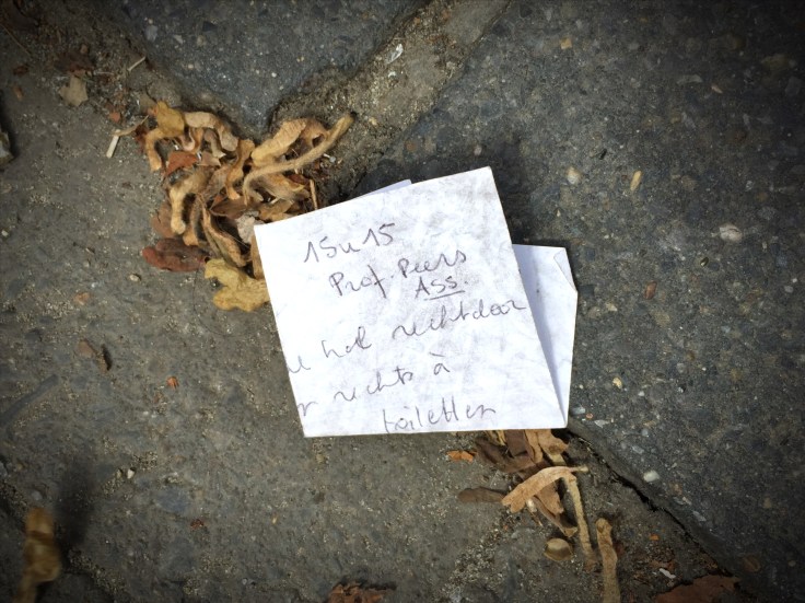 Professor Peers. Te Voet in de Stad. Foto Hendrik Elie Vanden Abeele