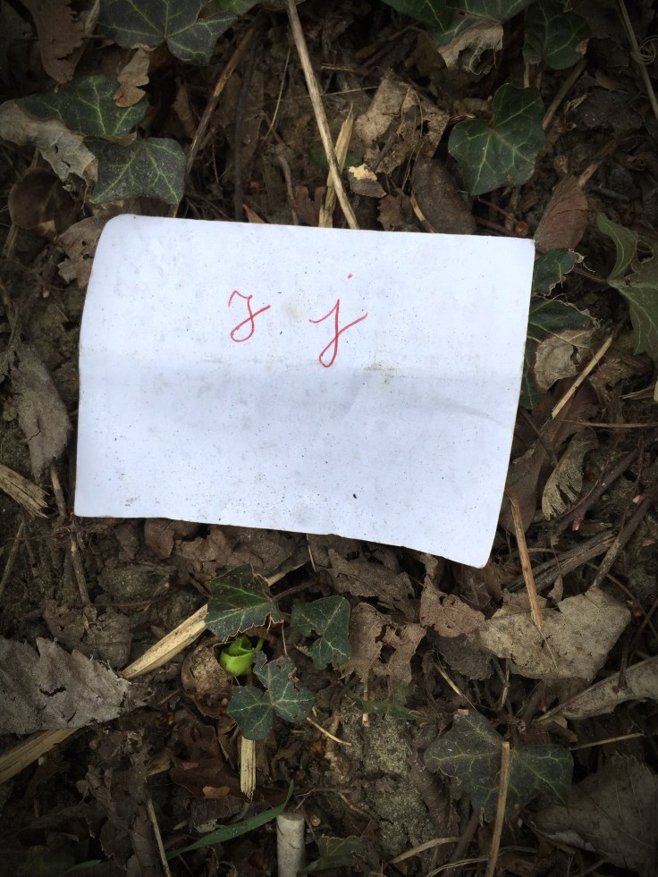 J j. Te Voet in de Stad. Foto Hendrik Elie Vanden Abeele