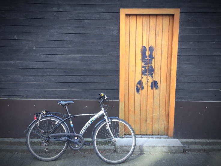 Vreemde Vogel. Foto Hendrik Elie Vanden Abeele