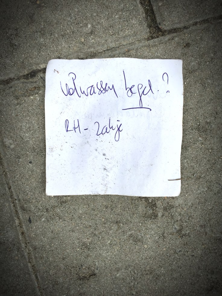 Volwassen. Foto Hendrik Elie Vanden Abeele Traen voor Te Voet in de Stad.