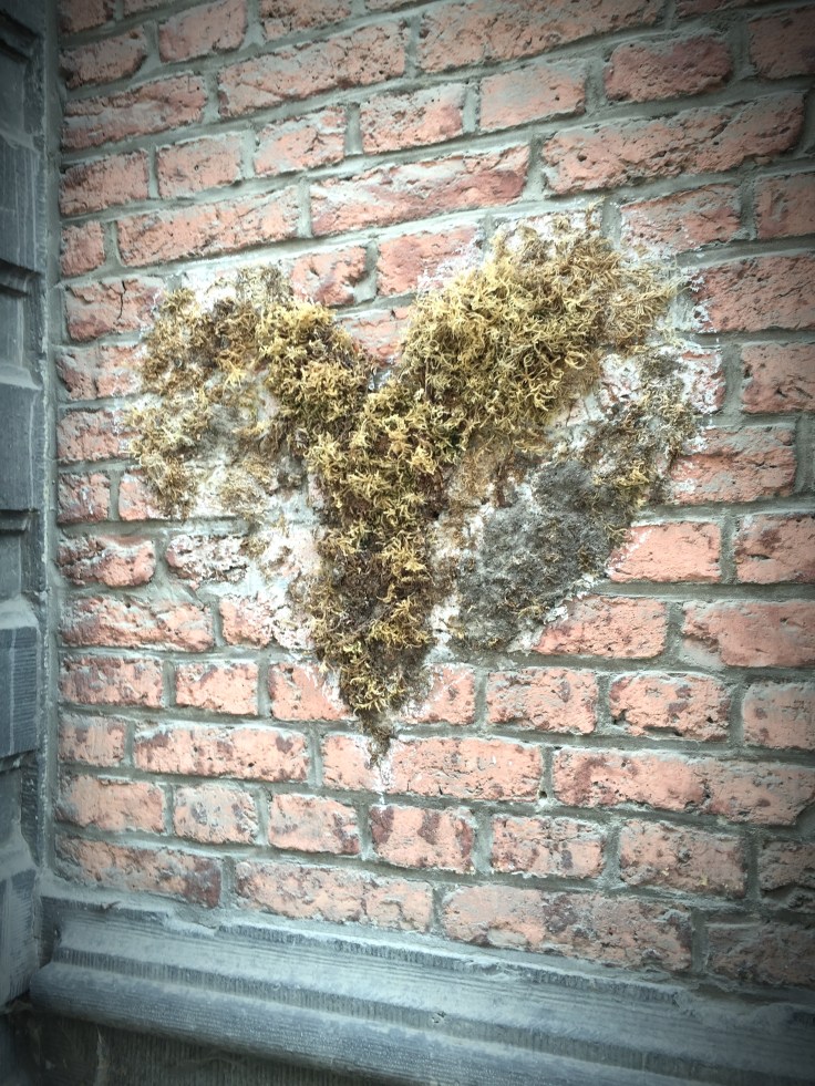 Hartig. Foto Hendrik Elie Vanden Abeele Traen