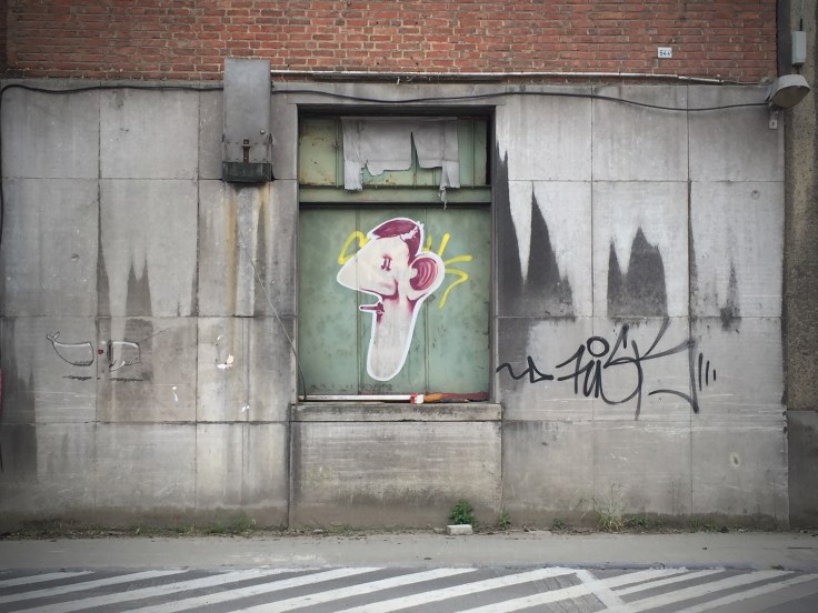 Vis. Foto Hendrik Elie Vanden Abeele