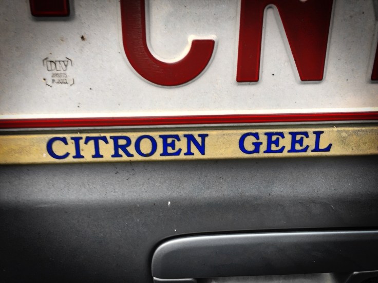 Appelblauw. Leuven, Edouard Remyvest, 18 december 2015, Foto Hendrik Elie Vanden Abeele