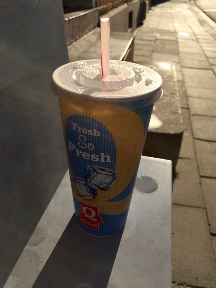 Booz #6 Fresh So Fresh. Te Voet in de Stad. Hendrik Vanden Abeele. Heverlee, Broekstraat