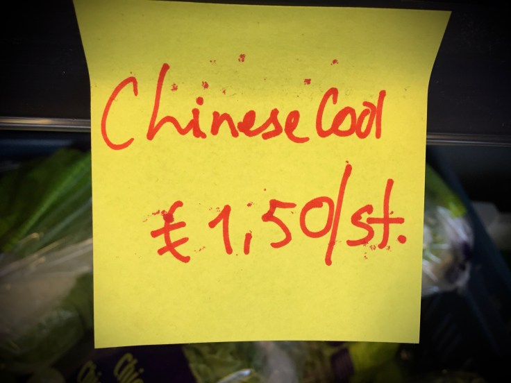 Chinese cool Hendrik Vanden Abeele Te Voet in de Stad