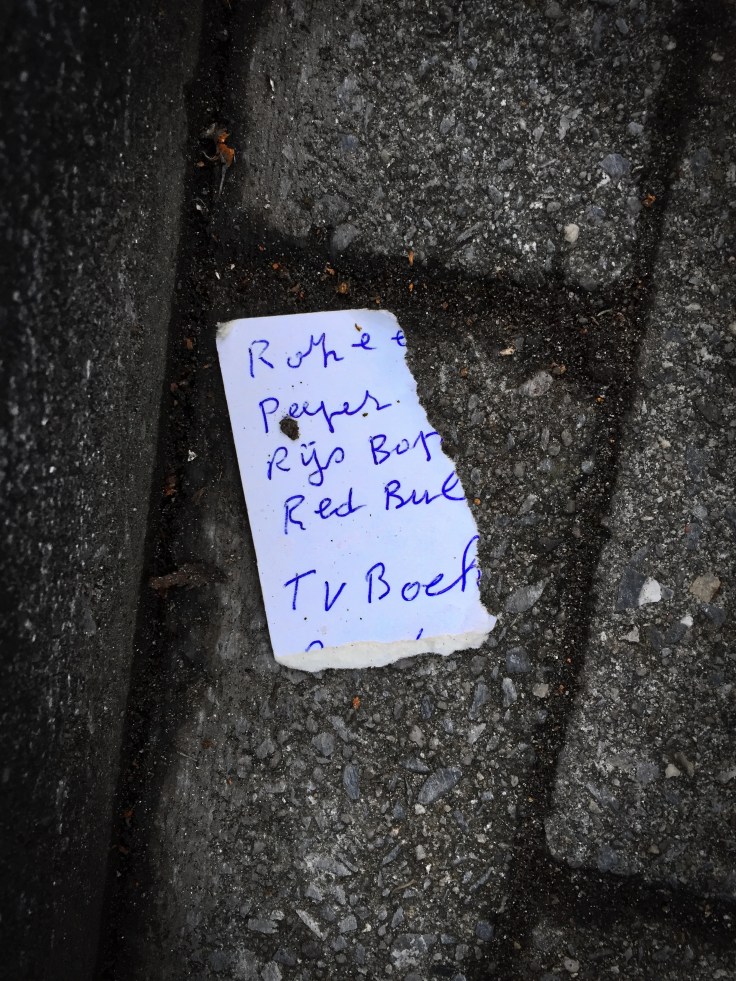 Groundtext #86 Rijs. Heverlee, Burgemeester Stanislas De Rijcklaan, 20 november 2015, Foto Hendrik Elie Vanden Abeele. Te Voet in de Stad