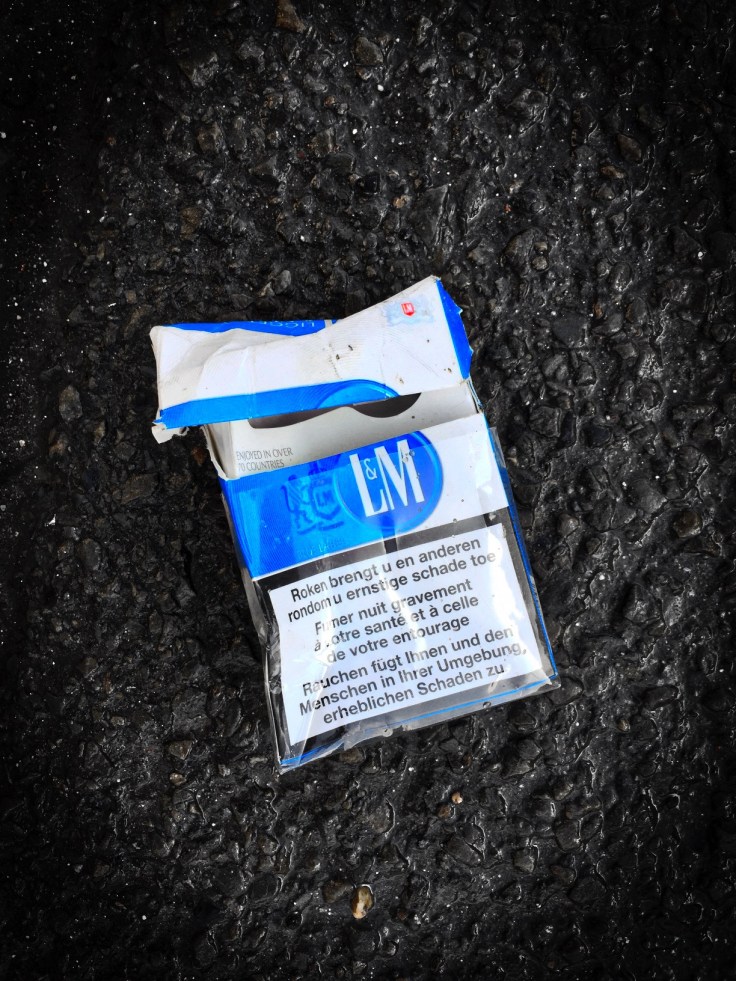 Nicotiana #3 L&amp;M. Leuven, Redingenhof, 31 januari 2015, Foto Hendrik Elie Vanden Abeele. Te Voet in de Stad