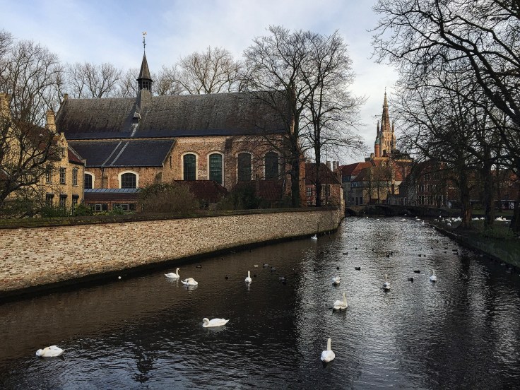 What a view. Brugge, Minnewater, 17 november 2015, Foto Hendrik Elie Vanden Abeele. Te Voet in de Stad