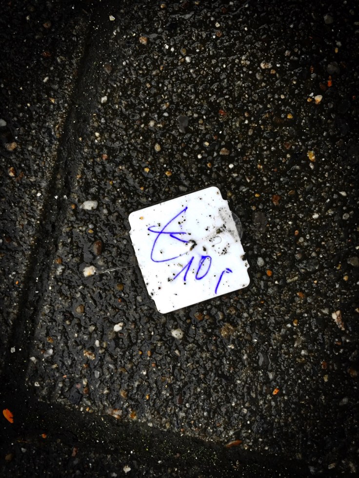 Groundtext #103 Euro. Leuven, Naamsepoort, 25 maart 2015, Foto Hendrik Elie Vanden Abeele. Te Voet in de Stad