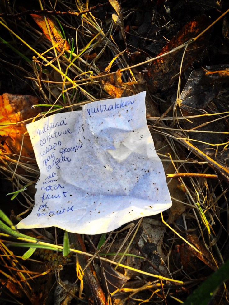 Groundtext #107 Maezena. Leuven, Tervuursevest, 7 april 2015, Foto Hendrik Elie Vanden Abeele