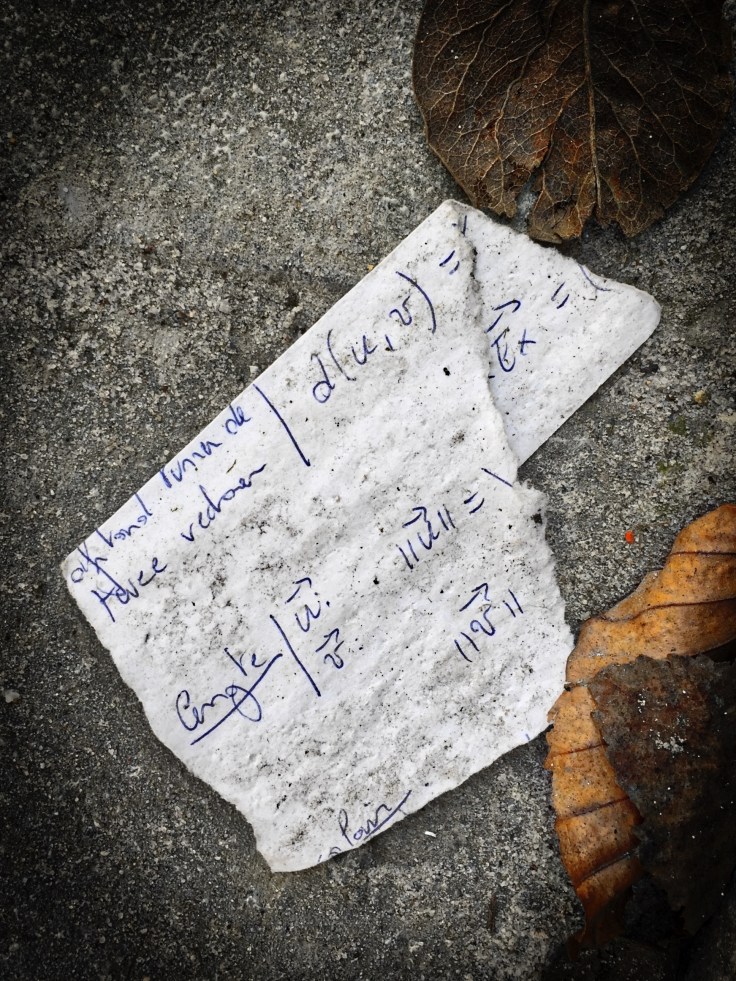 Groundtext #109 Afstand. Leuven, Janseniusstraat, 7 april 2015, Foto Hendrik Elie Vanden Abeele. Te Voet in de Stad