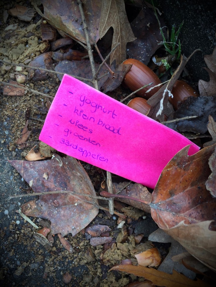 Groundtext #99 Klein brood. Heverlee, Erasme Ruelenspark, 23 oktober 2015, Foto Hendrik Elie Vanden Abeele. Te Voet in de Stad