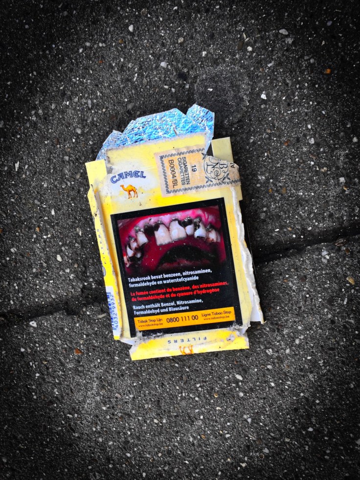 Nicotiana #5 Camel. Leuven, Amerikalaan, 31 januari 2015, Foto Hendrik Elie Vanden Abeele. Te Voet in de Stad