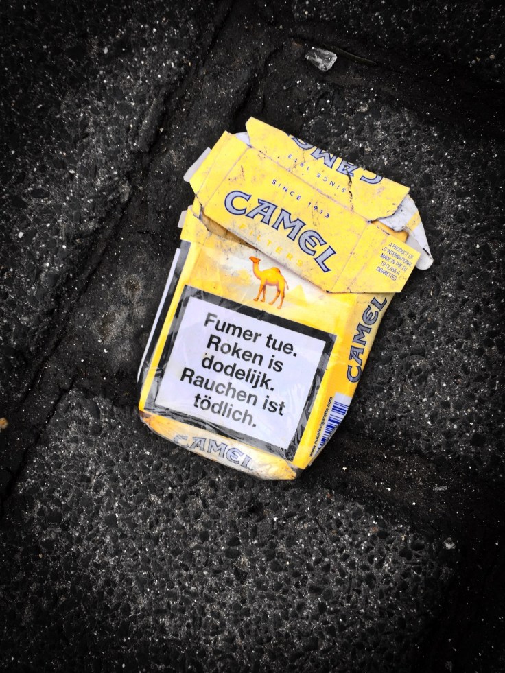 Nicotiana #7 Camel. Leuven, Naamsestraat, 25 januari 2015, Foto Hendrik Elie Vanden Abeele