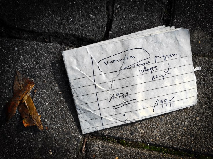 Groundtext #122 Voornaamheid. Leuven, Dirk Boutslaan, 6 september 2015, Foto Hendrik Elie Vanden Abeele. Te Voet in de Stad