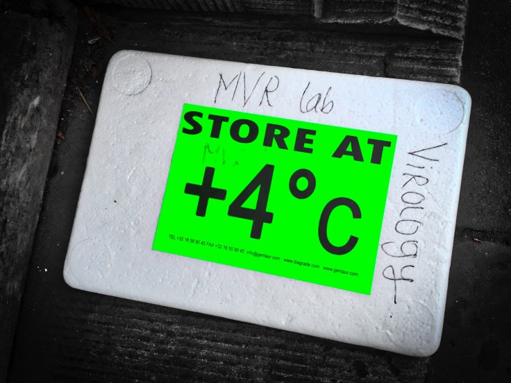 Groundtext #137 Virology. Leuven, Kapucijnenvoer, 13 mei 2015, Foto Hendrik Elie Vanden Abeele. Te Voet in de Stad