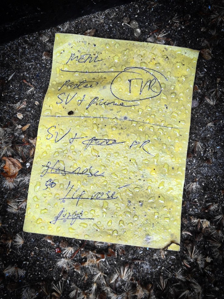 Groundtext #139 Glas rosé. Leuven, Kapucijnenvoer, 15 mei 2015, Foto Hendrik Elie Vanden Abeele. Te Voet in de Stad