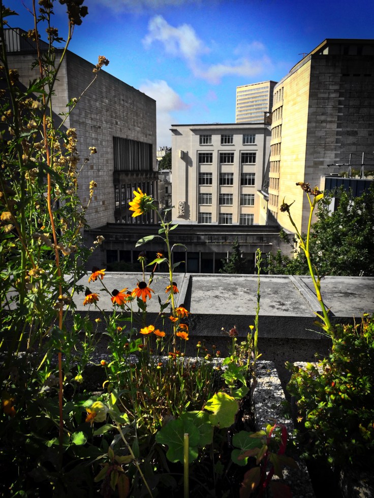 brussel-dak-koninklijke-bibliotheek-28-augustus-2015-foto-hendrik-elie-vanden-abeele-te-voet-in-de-stad