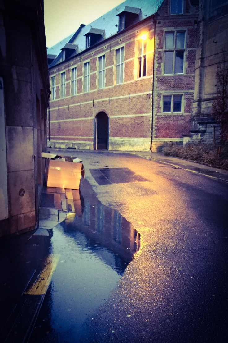 geen-standaard-voetpad-leuven-sint-michielsstraat-23-februari-2015-te-voet-in-de-stad-hendrik-vanden-abeele