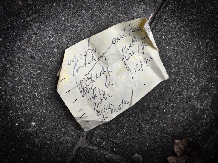 groundtext-152-aard-beien-leuven-redingenhof-25-juni-2015-foto-hendrik-elie-vanden-abeele-te-voet-in-de-stad