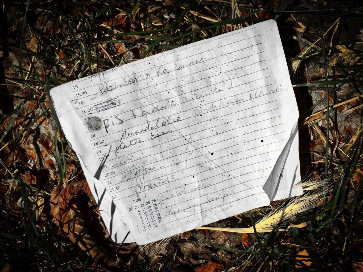 groundtext-154-pis-heverlee-geldenaaksebaan-1-juli-2015-foto-hendrik-elie-vanden-abeele-te-voet-in-de-stad