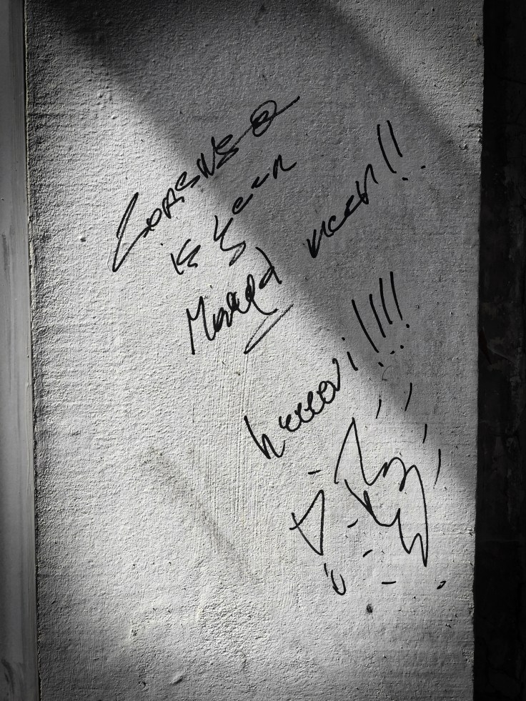 teken-aan-de-wand-72-maagd-antwerpen-italielei-30-augustus-2015-foto-hendrik-elie-vanden-abeele-te-voet-in-de-stad