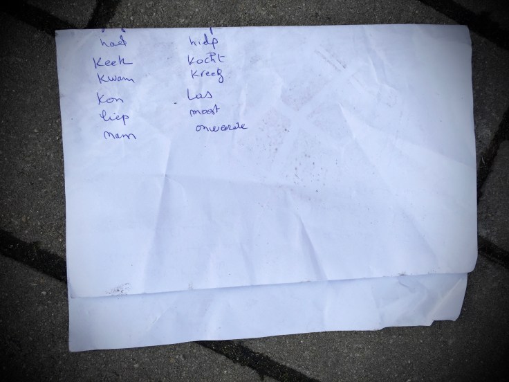 groundtext-156-onweerde-leuven-kapucijnenvoer-23-december-2015-foto-hendrik-elie-vanden-abeele-te-voet-in-de-stad