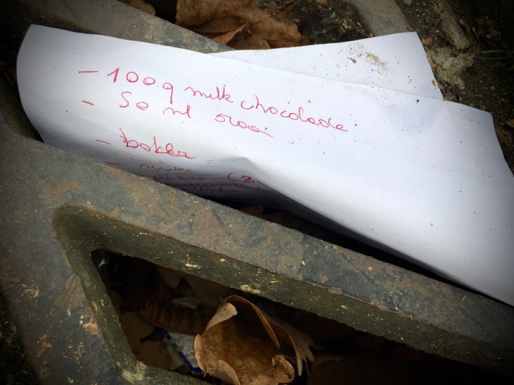 groundtext-157-100-g-leuven-naamsepoort-23-december-2015-foto-hendrik-elie-vanden-abeele-te-voet-in-de-stad