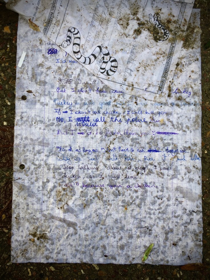 groundtext-158-chicken-leuven-tervuursevest-23-december-2015-foto-hendrik-elie-vanden-abeele-te-voet-in-de-stad