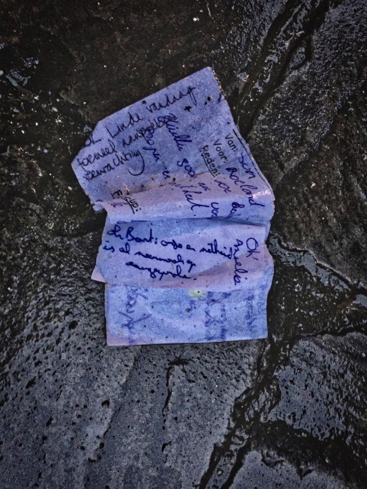 groundtext-161-linde-en-zo-leuven-sint-antoniusberg-23-februari-2015-te-voet-in-de-stad-hendrik-vanden-abeele