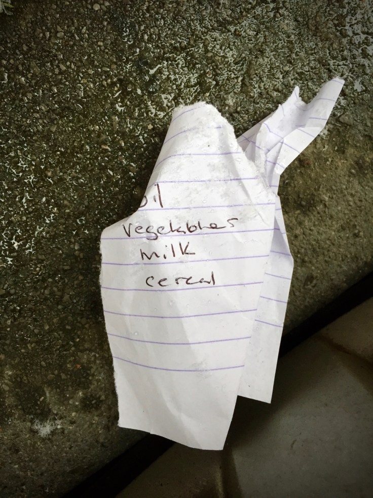 groundtext-177-vegetables-leuven-grasmushof-20-januari-2016-foto-hendrik-elie-vanden-abeele