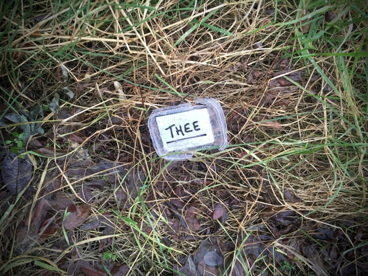 Groundtext #182 Thee. Heverlee, Geldenaaksebaan, 3 februari 2016, Foto Hendrik Elie Vanden Abeele.jpg