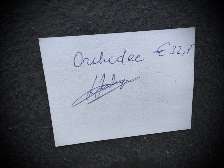 groundtext-215-orchidee-leuven-naamsestraat-8-mei-2016-foto-hendrik-elie-vanden-abeele