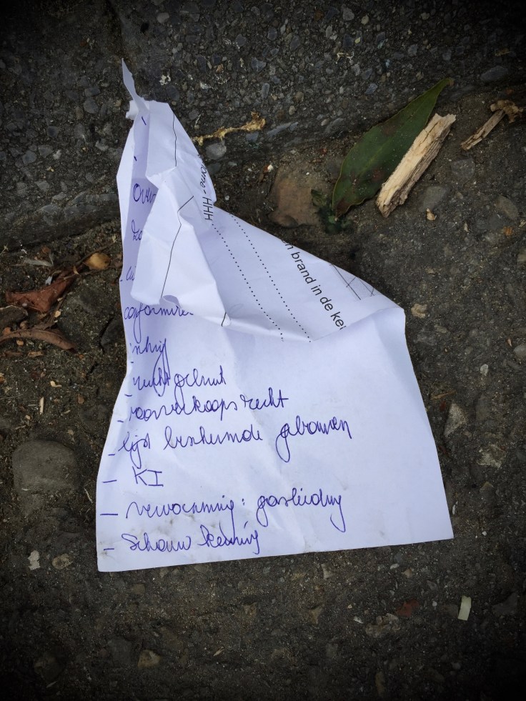 groundtext-230-schouw-keuring-leuven-naamsepoort-7-augustus-2016-foto-hendrik-elie-vanden-abeele