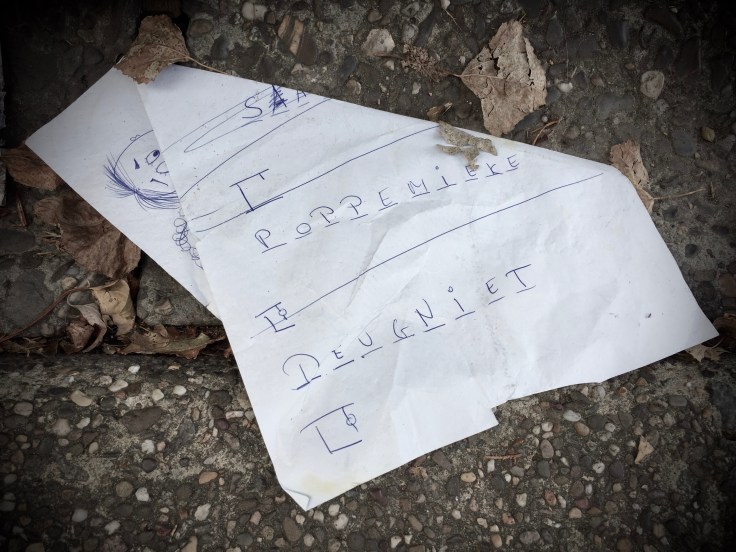 groundtext-253-poppemieke-leuven-volmolenlaan-30-september-2016-foto-hendrik-elie-vanden-abeele