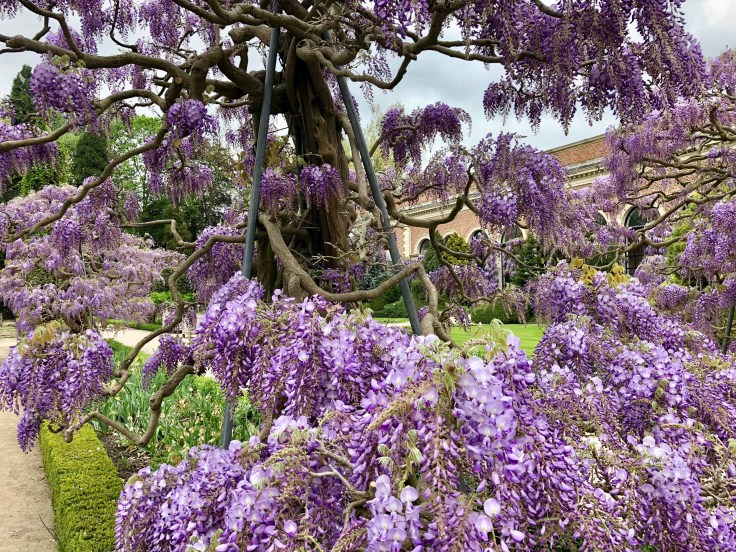 Weer die tijd Kruidtuin Leuven Te Voet in de Stad Hendrik Vanden Abeele