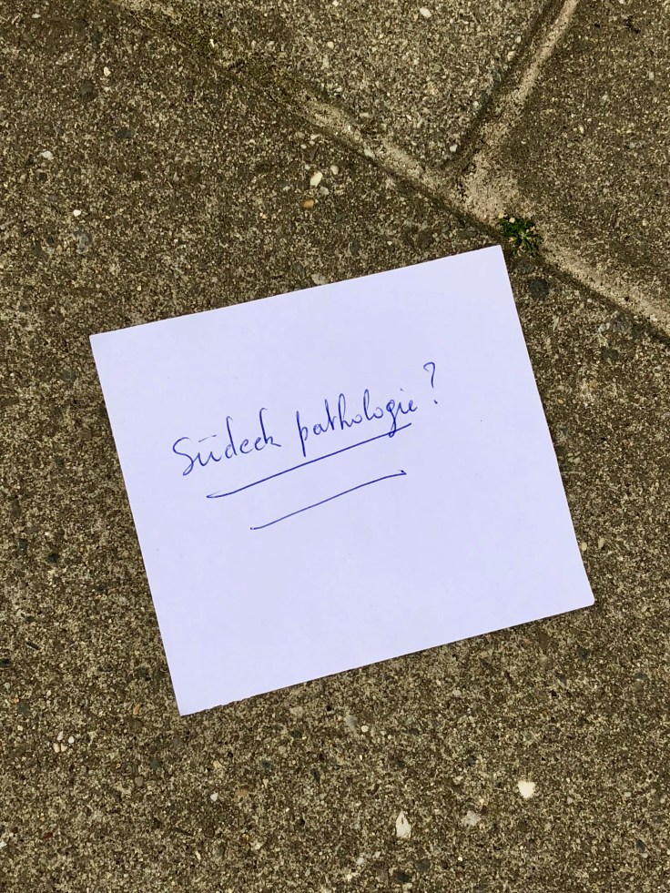 Groundtext #259 Complex regionaal pijnsyndroom. Leuven, Janseniusstraat, 12 september 2018. Te Voet in de Stad, Foto Hendrik Elie Vanden Abeele