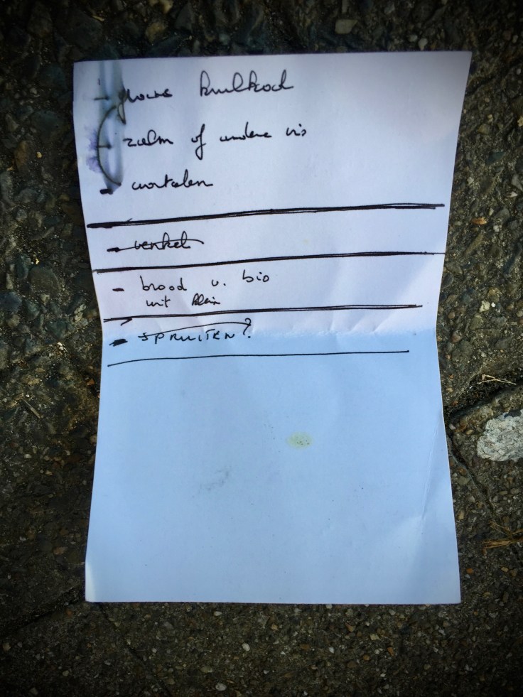 Groundtext #261 Spruiten? Heverlee, Naamsesteenweg. Te Voet in de Stad, Foto Hendrik Elie Vanden Abeele