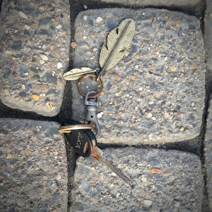 Gevleugeld gesleutel. Heverlee, Naamsesteenweg, 27 december 2015, Te Voet in de Stad, Foto Hendrik Vanden Abeele