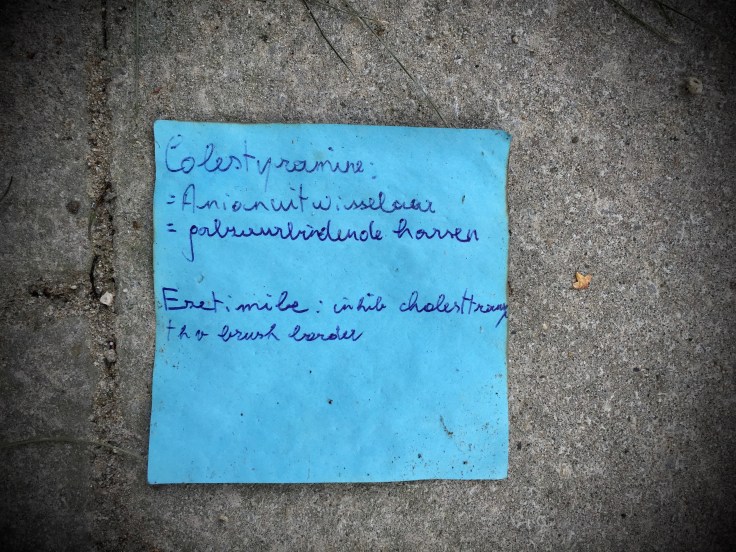 Groundtext #263 Galzuurbindend. Leuven, Janseniusstraat, 14 oktober 2016. Te Voet in de Stad, Foto Hendrik Elie Vanden Abeele